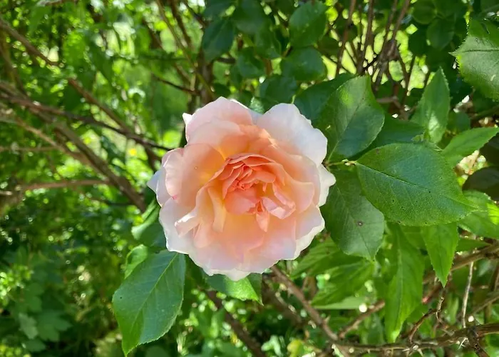 Landhuus Stender Eutin