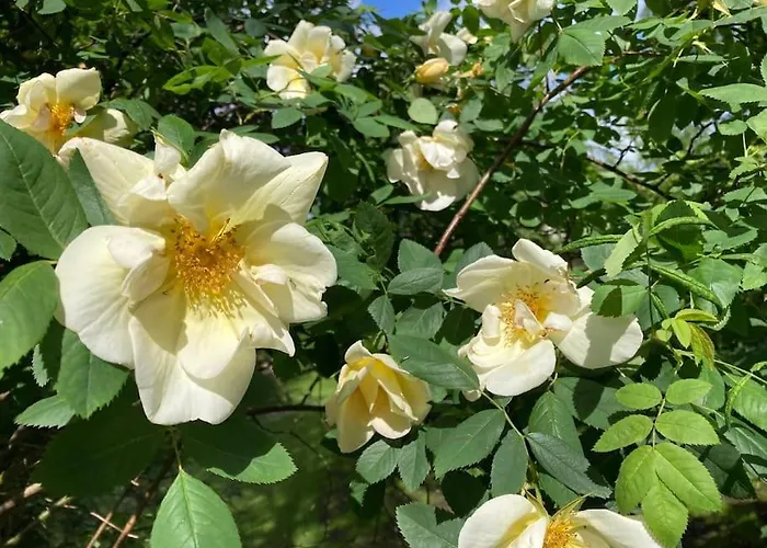 Appartement Landhuus Stender Eutin