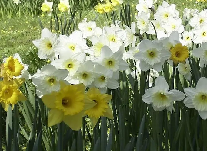 Landhuus Stender * Eutin