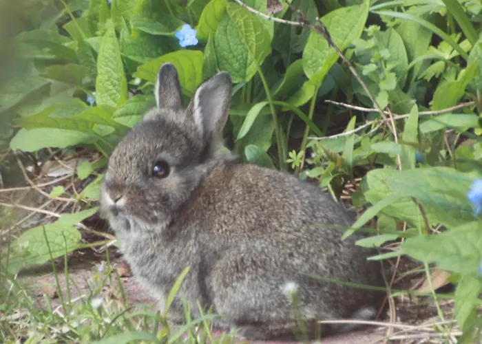Landhuus Stender Appartement Eutin